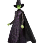 Wicked - Elphaba Costume, Adfult
