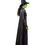 Wicked - Elphaba Costume, Adfult