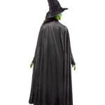 Wicked - Elphaba Costume, Adfult