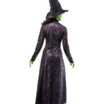 Wicked - Elphaba Costume, Adfult