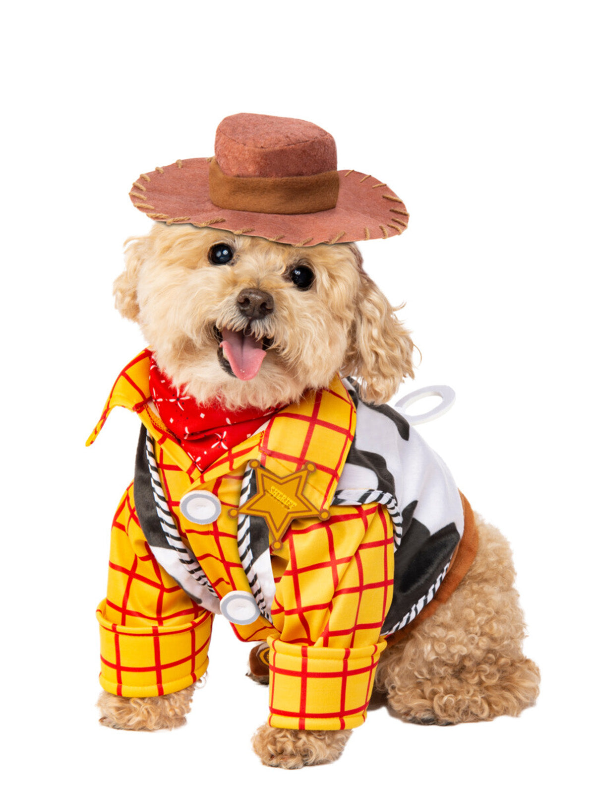 Woody Toy Story Dog Costume, Pet