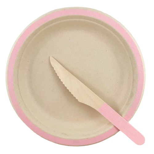 Pink Sugarcane Lunch Plates 18cm Coloured Pack of 10