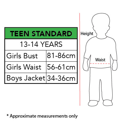 Foxy Costume, Teen