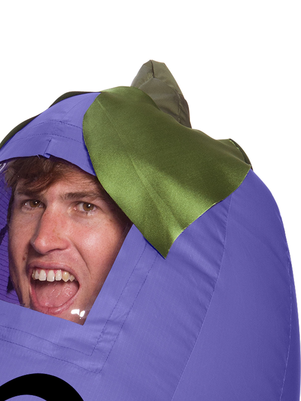 Eggplant Inflatable Costume,  Adult