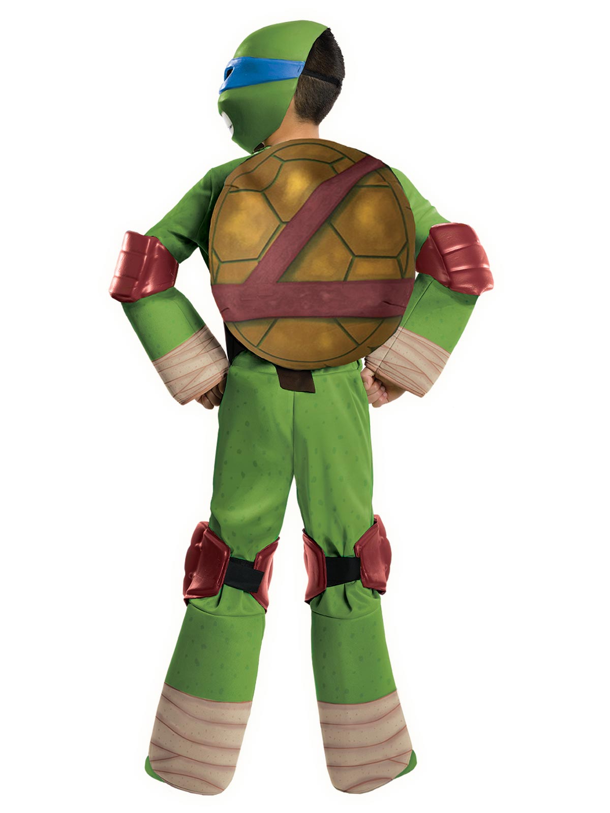 Tmnt Leonardo Deluxe Costume, Child