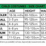 Dorothy Premium Costume, Child