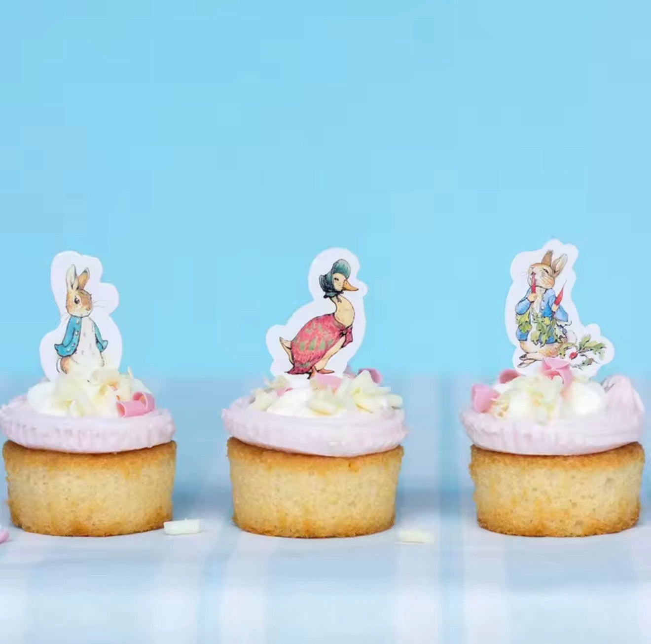 24 Peter Rabbit Cupcake Toppers